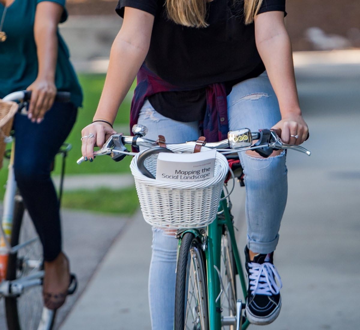 image:imageBELL Handlebar BasketTote 300 White Wicker